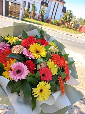 Букет цветов из: Герберы в Гаврилково